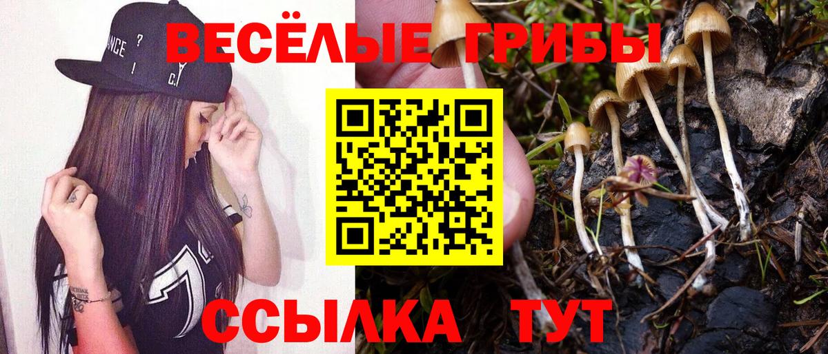 Дальнереченск  Псилоцибиновые грибы MAGIC MUSHROOMS  Вход с VPN 